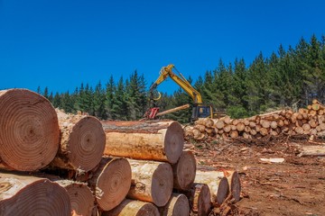 Poster - Logging Equipment Forest Machine