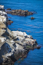 Rocky Cliffs In La Jolla, San Diego California