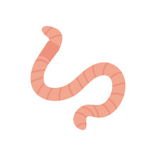 Worm Insect Icon, Flat Style