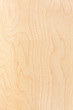 birch plywood background. high-detailed wood texture series
