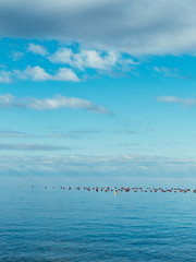 sea and blue sky