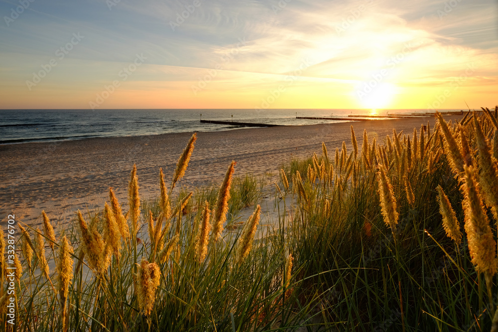 Morze Bałtyckie,wydmy na piaszczystej plaży w Kołobrzegu o wschodzie słońca. - obrazy, fototapety, plakaty 