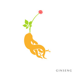 Sticker - Red ginseng. Vector illustration. Isolated ginseng root leaf and berries on white background