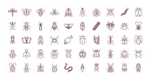 Butterflies And Insects Icon Set, Line Style