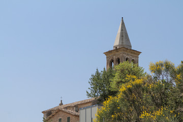 the church tower of the old church rises high above the plants