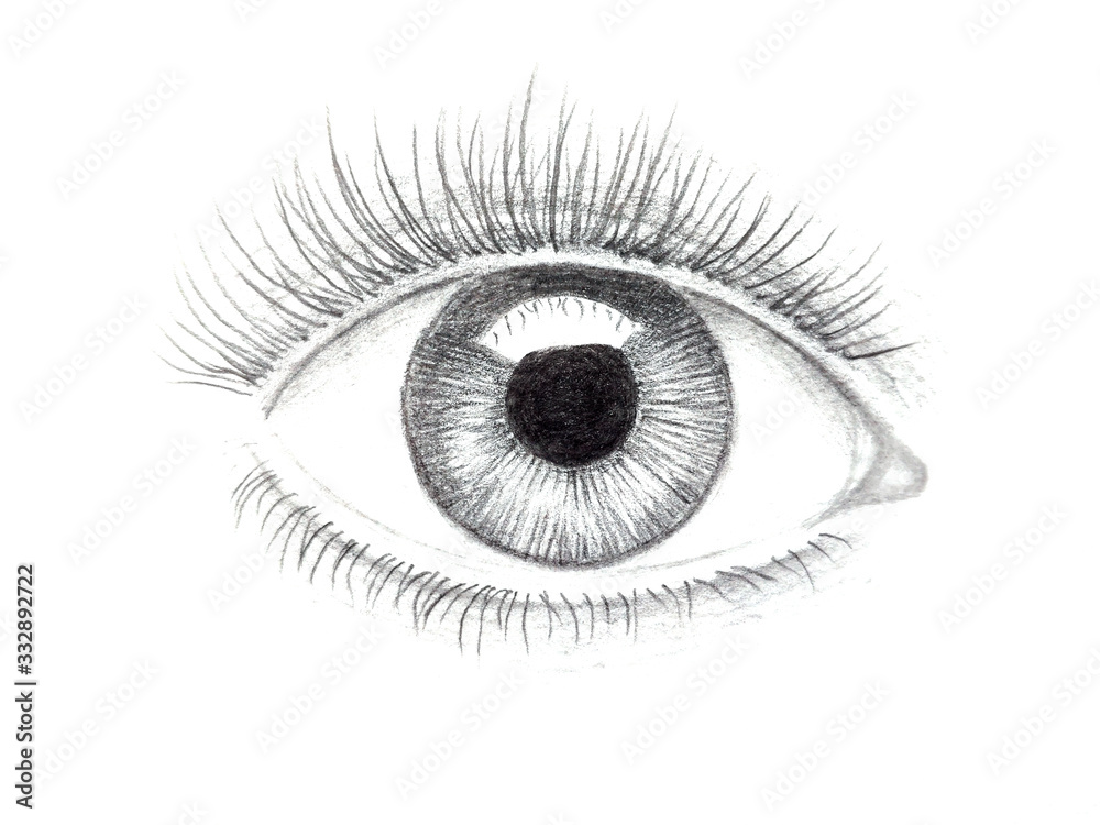 Illustration of human eye drawn with pencil. One eye closeup on white background. - obrazy, fototapety, plakaty 