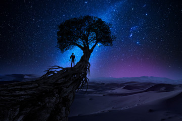 Wall Mural - man under a tree in front of the universe