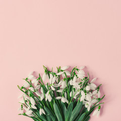 Poster - Creative layout made with snowdrop flowers on pink background. Minimal nature love background. Spring flowers concept.