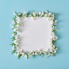 Wall Mural - Creative layout made with snowdrop flowers with paper card note. Minimal nature love background. Spring flowers concept.