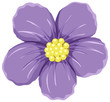 Purple flower on white background