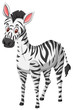 Cute zebra on white background