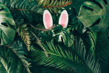 Creative Easter Nature Background. Green Tropical Palm Leaves With Pink Easter Bunny Ears. Minimal Spring Abstract Jungle Or Forest Composition. Contemporary Style.
