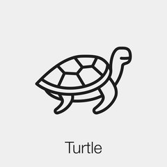 Poster - turtle icon vector sign symbol