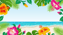 Tropical Plants Frame And Beach Landscape