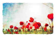Watercolor Style And Abstract Image Of Red Poppy In The Green Field