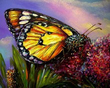 Art Oil Painting Color The Butterfly Thai Land , Stamen  Flowers