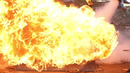 Wall Mural - slow motion speed scene of firefighter use fire extinguisher control oil burning flame in box when t