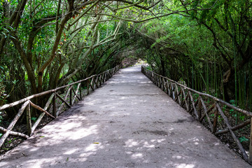 Poster - Archaeological Park in Syracuse Italy (Sicily)