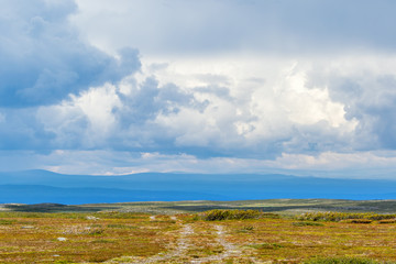 Sticker - Hiking trail in a moor landscape to the horizon