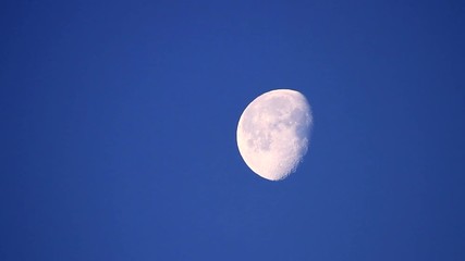 Wall Mural - Early morning view of the moon on a clear sky