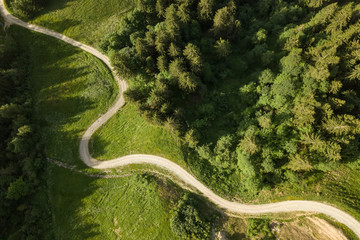 Wall Mural - Winding road through forest in French Alps