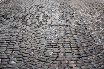 Wall Mural - The gray paving stones laid out in a semicircle. The texture of the old dark stone. Road surface. Vintage, grunge.