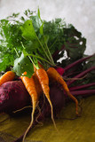 Fototapeta Tulipany - Freshly harvested beets, carrots, and radishes with greens
