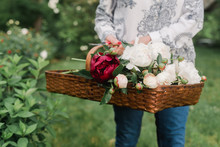 Woman Holding A Basket Of Peonies