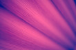 © Ilya/Stocksy - Abstract violet background
