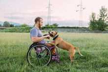 Young Man In A Wheelchair Playing With His Dog In The Nature