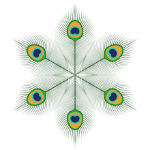 Peacock Feathers Mandala On A White Background.