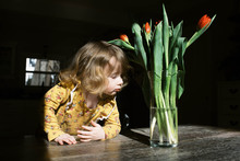 Little Two Year Old Girl And Her Tulips.