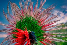 Closeup Shot Of The Colorful Feathers Of A Traditional Native Indian-American Festive Regalia