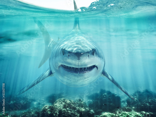 a-predator-great-white-shark-swimming-in-the-ocean-coral-reef-shallows-just-below-the-water-line-closing-in-on-its-victim-3d-rendering-with-god-rays