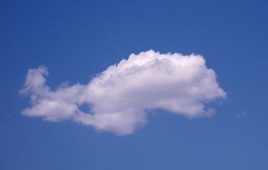 Closeup of a white floating cloud in the blue sky