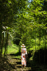 Wall Mural - woman hiking in the forest at Xitou