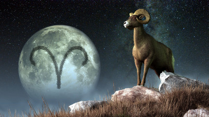 aries is the first sign of the zodiac. people born between march 20th and april 19th have this astro