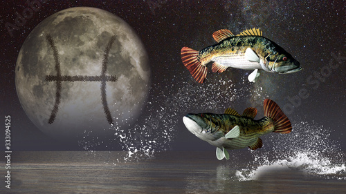 Fotomural Pisces, the two fish, is the twelfth sign of the Zodiac