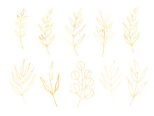 Gold Leaves Hand Drawn Illustration Set. Greenery With Gold Texture Isolated On White Background. Perfect For Wedding Invitations, Logo, Stationery Design, Mockup, Background, Frame. Botanical Art. 