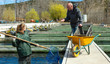 © JackF - Male farmer with woman catching trout