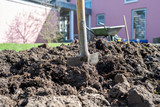 Fototapeta Na drzwi - Gartenarbeit im Frühjahr, umgraben - zu hause bleiben