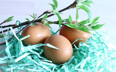 Eggs of brown color, with a sprig and leaves, lie on a green paper tinsel, lit by light on a wooden background. Bright Easter holiday, cooking, decoration.