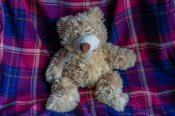 Teddy bear on bright pink and violet background