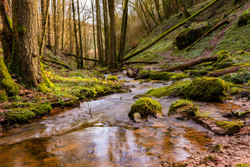 idyllic river in spring