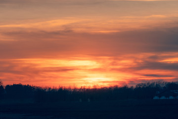 Wall Mural - fire in the sky sunset over a row of tree silhouettes