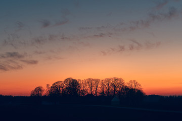 Wall Mural - sunset over a farmland with tree silhouettes