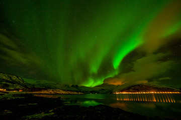 amazing northern lights, aurora borealis over the mountains in the north of europe - lofoten islands