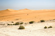 Wüste in den Vereinten arabischen Emirate.