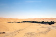 Oase in der Wüste in den Vereinten arabischen Emirate.