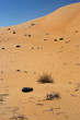 Müll in der Wüste in den Vereinten arabischen Emirate.